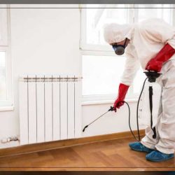 Fumigation-13